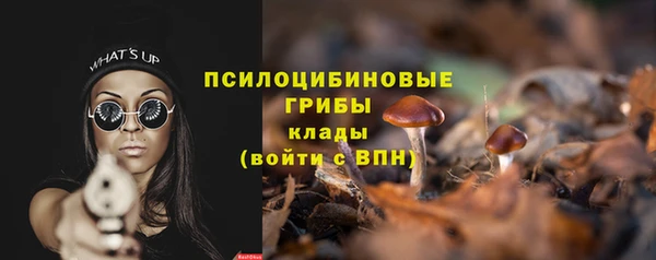 тгк Балахна